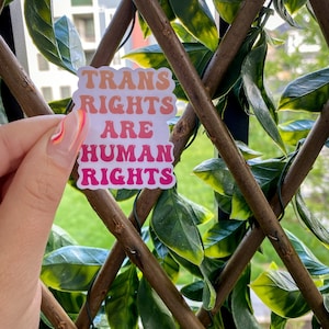 Les droits trans sont l’autocollant arc-en-ciel des droits de la personne, l’autocollant de travail social, l’autocollant d’ordinateur portatif, l’autocollant de bouteille, l’autocollant de vinyle, le décalque, l’autocollant de coupe de meurs