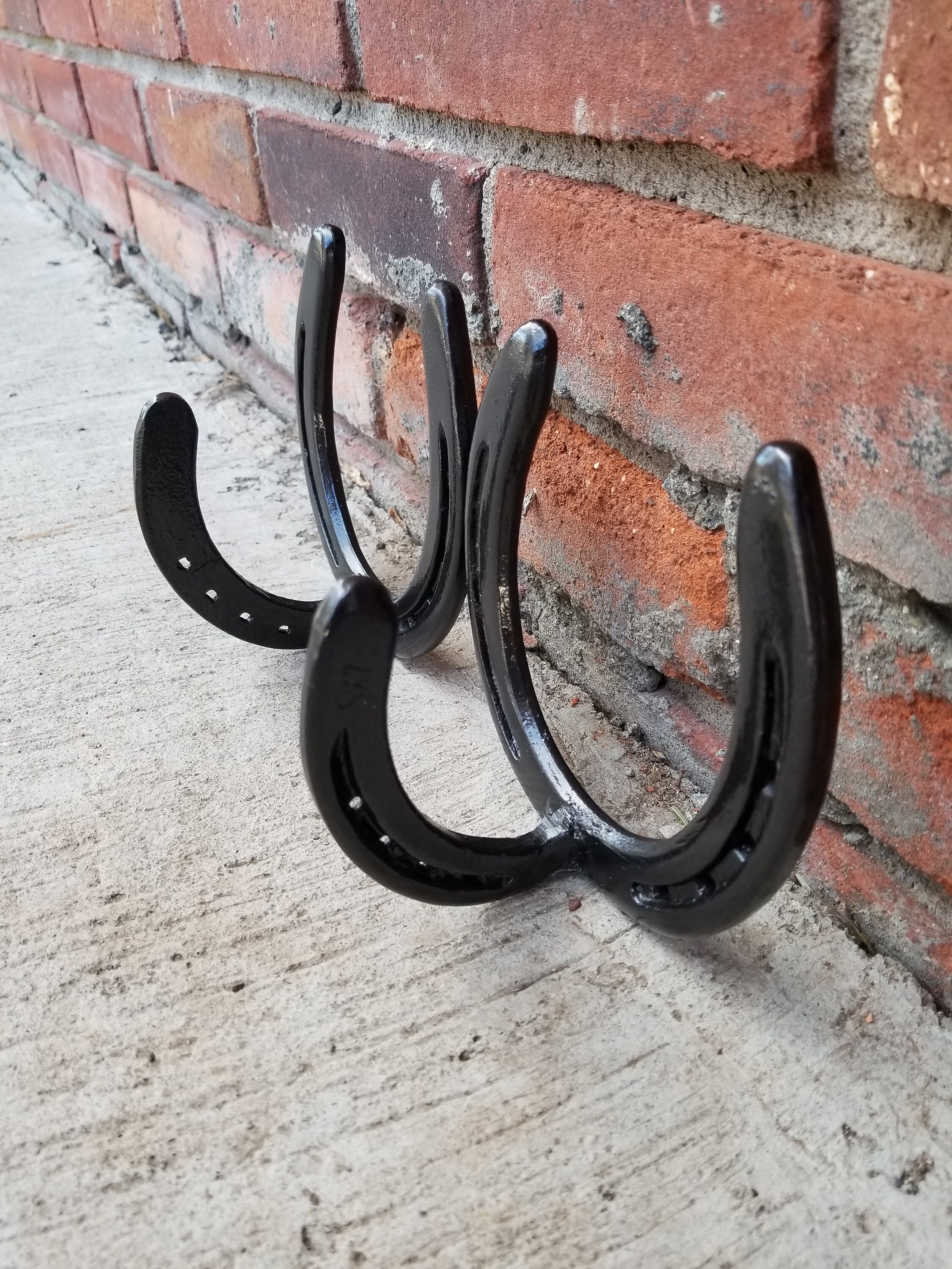 2 Hook Horseshoe Coat Rack Etsy