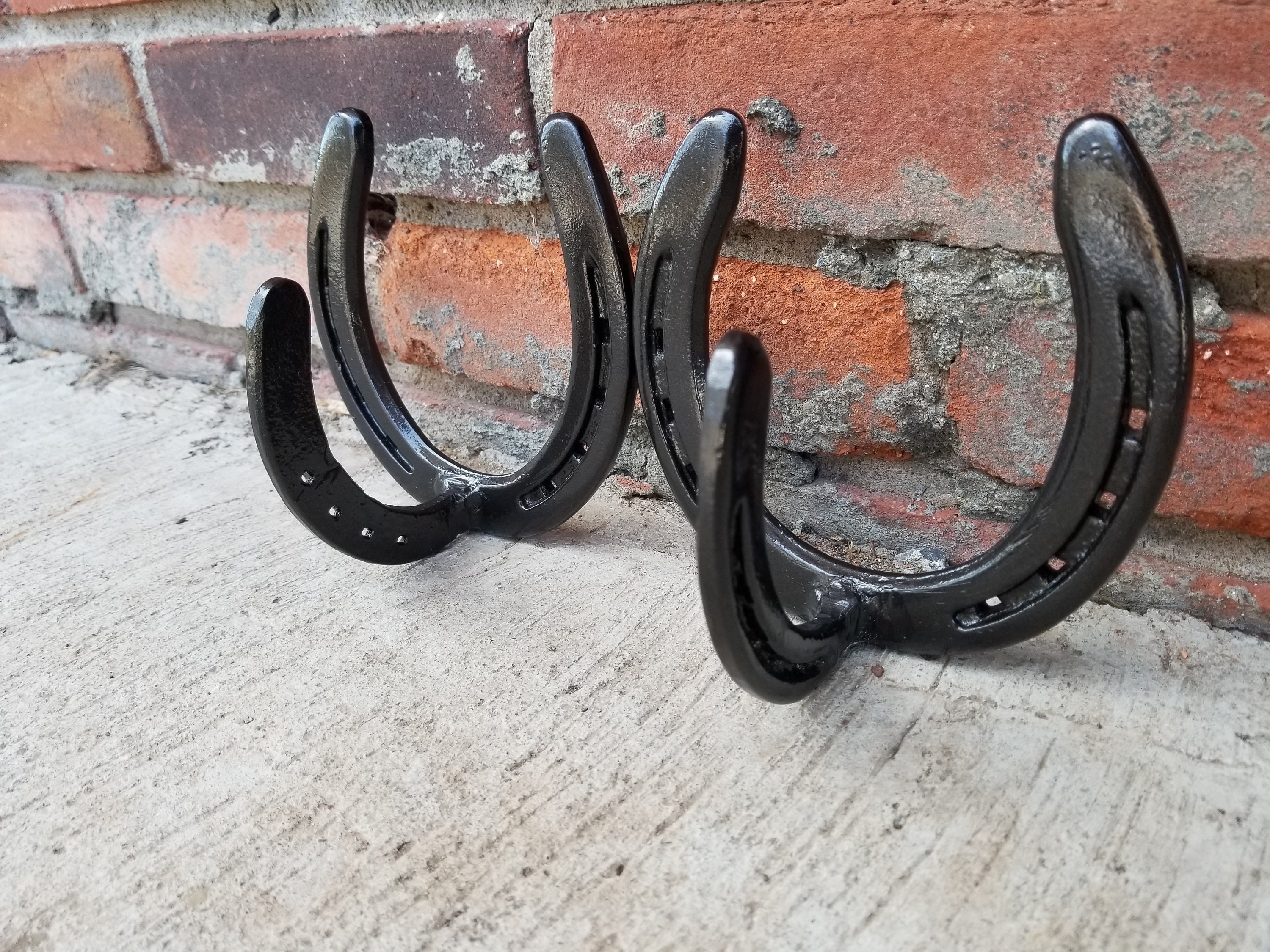 2 Hook Horseshoe Coat Rack Etsy