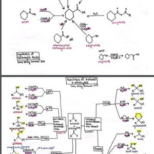 May include: Handwritten notes on a white background outlining the synthesis of carboxylic acids and reactions of ketones and aldehydes. The notes include chemical structures and reactions with reagents.
