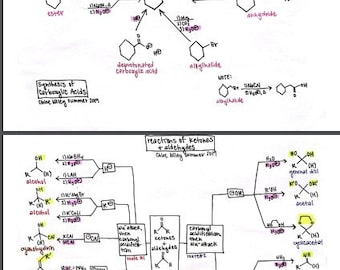 Organic Chemistry 1 & 2 Complete Reactions Sheet! (19 Pages) - Etsy