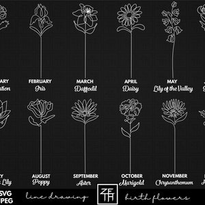 Puede incluir: Ilustraci&oacute;n de arte de l&iacute;nea de flores que representan cada mes del a&ntilde;o.  Enero: Clavel, Febrero: Iris, Marzo: Narciso, Abril: Margarita, Mayo: Lirio de los valles, Junio: Rosa, Julio: Lirio de agua, Agosto: Amapola, Septiembre: Aster, Octubre: Cal&eacute;ndula, Noviembre: Crisantemo, Diciembre: Acebo. Dibujo de l&iacute;nea en blanco y negro.