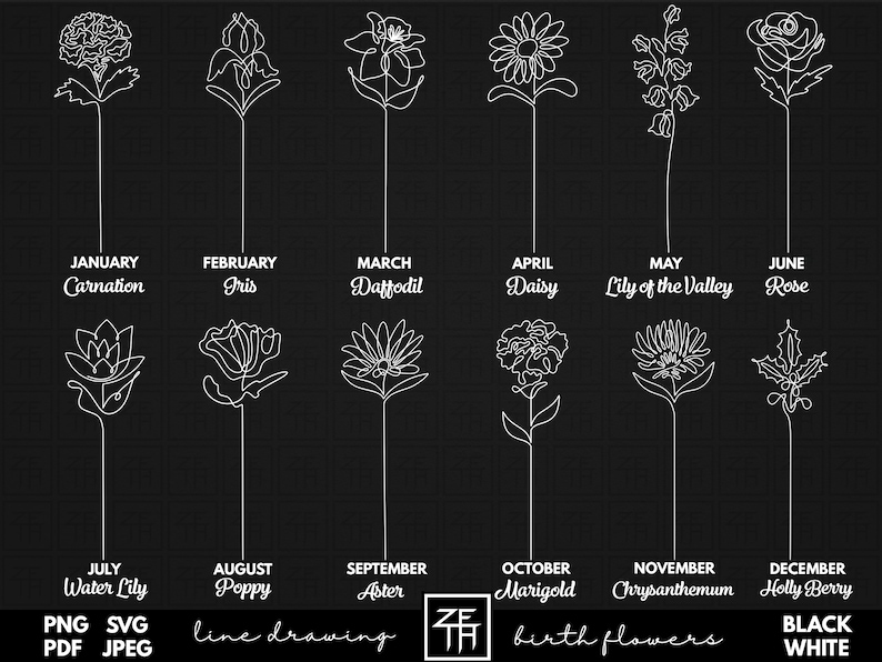 Puede incluir: Ilustraci&oacute;n de arte de l&iacute;nea de flores que representan cada mes del a&ntilde;o.  Enero: Clavel, Febrero: Iris, Marzo: Narciso, Abril: Margarita, Mayo: Lirio de los valles, Junio: Rosa, Julio: Lirio de agua, Agosto: Amapola, Septiembre: Aster, Octubre: Cal&eacute;ndula, Noviembre: Crisantemo, Diciembre: Acebo. Dibujo de l&iacute;nea en blanco y negro.