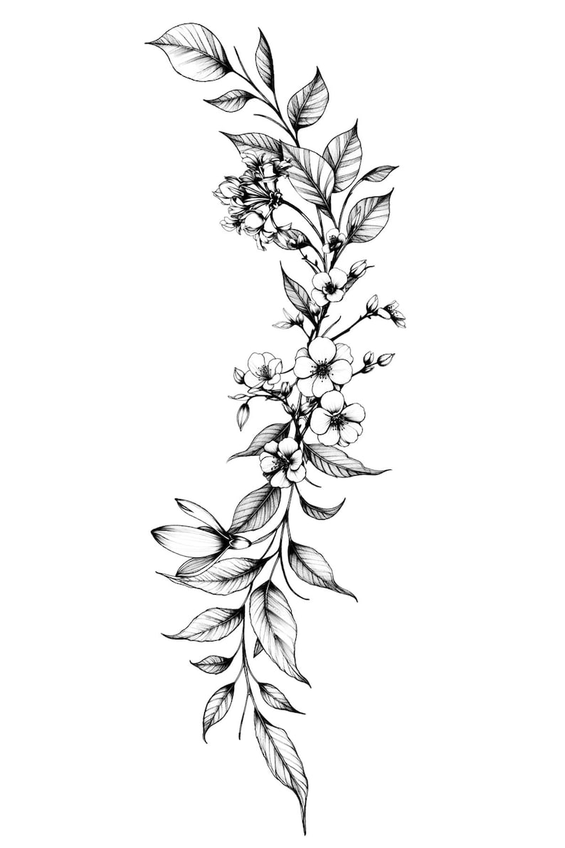 May include: Black and white line drawing of a floral branch with delicate flowers and leaves.