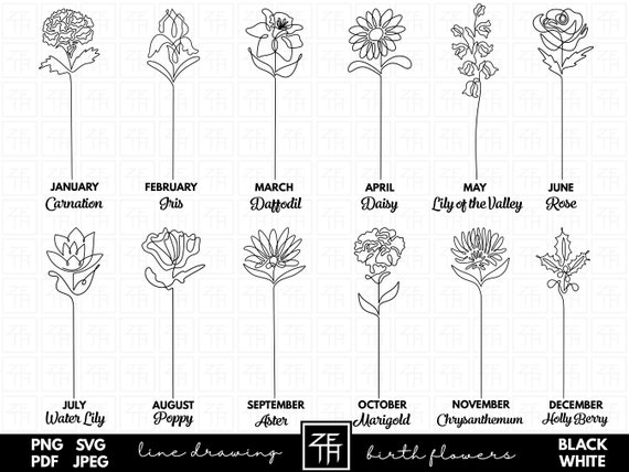 Birth Month Flower Line Art SVG Bundle (Digital Download)