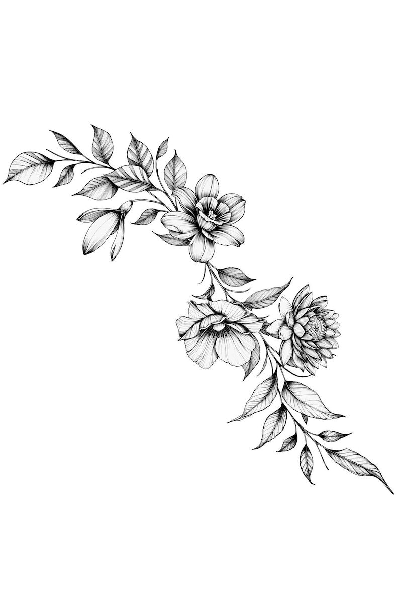 May include: A black and white line drawing of a floral arrangement with three flowers and leaves. The flowers are a daffodil, a rose, and a dahlia.