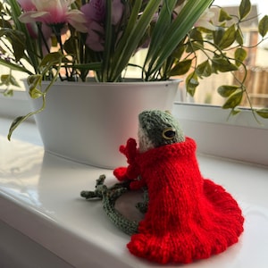 Hand Knitted Cape for Frog, traitors cape for pocket frog Emotional support Dot Pebbles, Pattern outfit, dress up Accessories 2 lengths