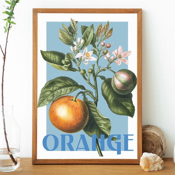 Orange Illustration - Vintage Art Poster for Kitchen - Retro Dining Room Citrus Printable Wall Art - Digital Download Painting