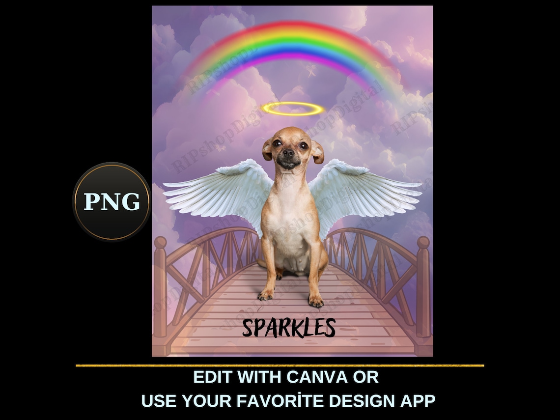 Rainbow Bridge Background, Dog Rainbow Bridge PNG, Stairway to Heaven