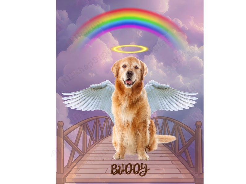 Rainbow Bridge Background, Dog Rainbow Bridge PNG, Stairway to Heaven