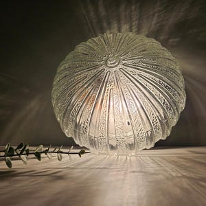 Large 9.8&quot; Vintage Flush Mount Ceiling Light, Glass Wall Lamp, Mid century Modern, Plafoniera, Round Glass Sconce, YU 70&#39;s