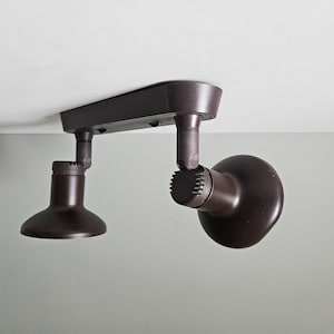 Puede incluir: Una luminaria de techo de riel marrón con dos focos ajustables.