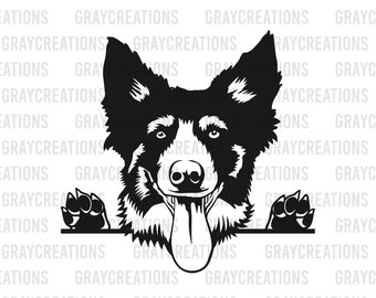 peeking dog svg / border collie breed svg / dog portrait printable clip art /canine svg