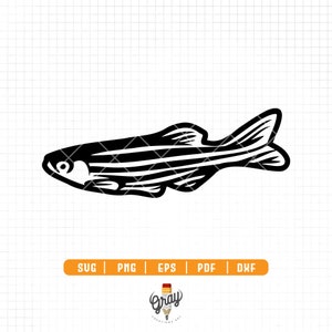 May include: Black and white silhouette of a striped fish with a single eye. The fish is facing left and has a long, thin body.