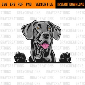peeking dog portrait svg / great dane svg / canine svg