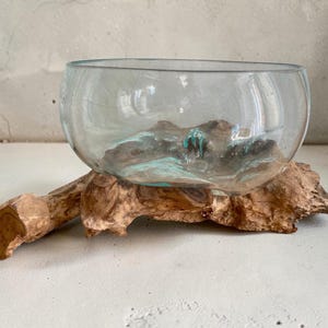 May include: A clear glass bowl with a rounded shape, resting on a natural, light brown wooden base. The wood has a textured, organic appearance. The bowl's interior features hints of blue and brown.