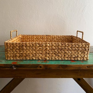 Plant fiber tray