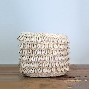 Cotton and shell planter