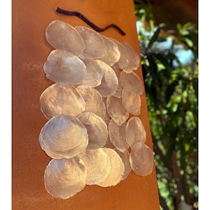 Mother-of-pearl mobile pendant light