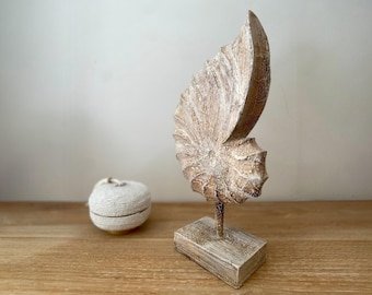 Nautilus carved in wood