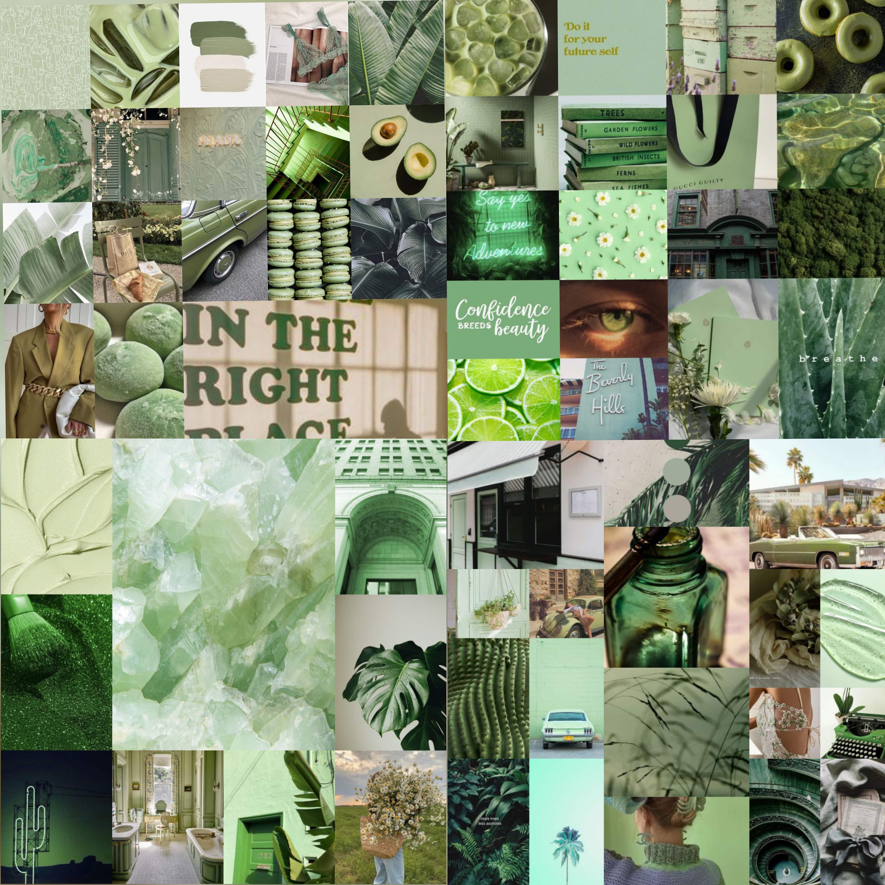 Matcha Sage Green Aesthetic Wall Collage Kit Download Photo Collage 60 ...