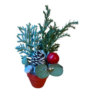 Könnte beinhalten: Eine kleine Topf-Weihnachtsdekoration mit grünen und blauen Kiefernästen, einer Kiefernzapfen und einer roten Beere.