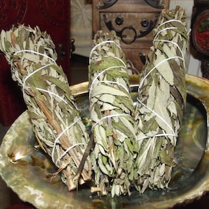 Abalone Shell with Three Incense Sage Smudge Sticks