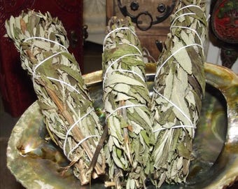 Abalone Shell with Three Incense Sage Smudge Sticks