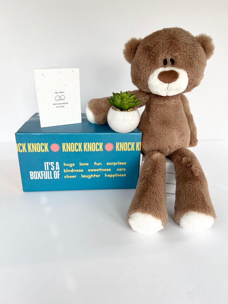 Succulent Gift Box Cheer Up Gift Box Hug in a Box Happy Birthday Gift Box Thinking of You Gift Hug Gift Box Custom Gift Box image 1