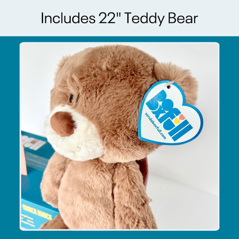 Bereavement Gift – Plush Teddy Bear “Hug in a Box” Care Package image 6