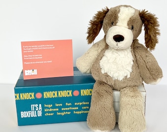 Puppy Dog Hug in a Box, Get Well Care Package