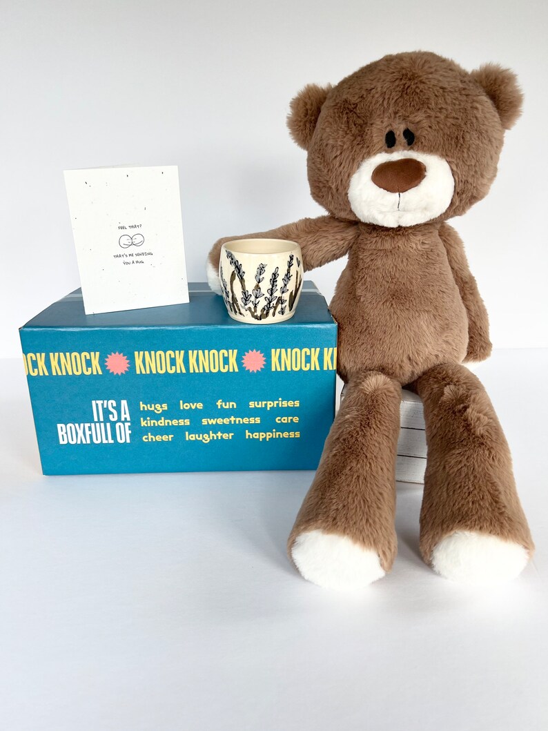 Succulent Gift Box Cheer Up Gift Box Hug in a Box Happy Birthday Gift Box Thinking of You Gift Hug Gift Box Custom Gift Box image 4