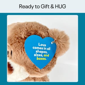 Hug in a Box – Long Distance Teddy Bear Gift Bild 8