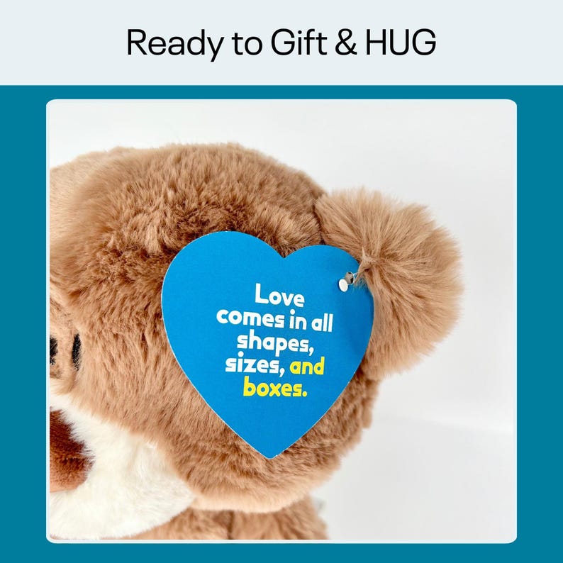 Hug in a Box – Long Distance Teddy Bear Gift Bild 8