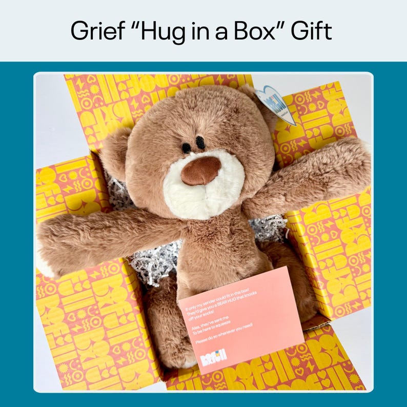 Bereavement Gift – Plush Teddy Bear “Hug in a Box” Care Package image 2