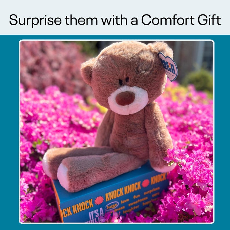 Hug in a Box – Long Distance Teddy Bear Gift Bild 10