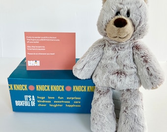 Hug in a Box | Cheer Up Gift | Comfort Gift Box | Get Well Soon Gift | Bereavement Gift | Teddy Bear Plush Toy | Care Package for Her