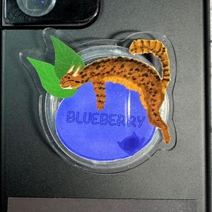 May include: Black smartphone with a decorative sticker featuring a stylized orange and brown cat with green leaves. The sticker is on a blue background with the word "BLUEBERRY". A black rectangular magnet is attached to the phone.