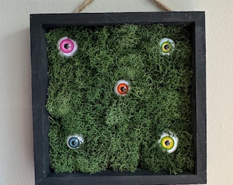 Mossiga skogsögon hängande låda, kuslig väggdekoration