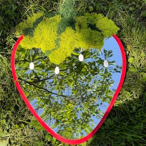 Puede incluir: Un espejo con forma de fresa con borde rojo y parte superior de musgo verde. El espejo refleja un cielo azul brillante y follaje verde. El espejo está sobre una cama de hierba verde.