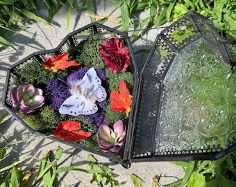 Glass Heart Terrarium, Preserved moss, faux florals and white fuzzy moth, Heart Shaped Box