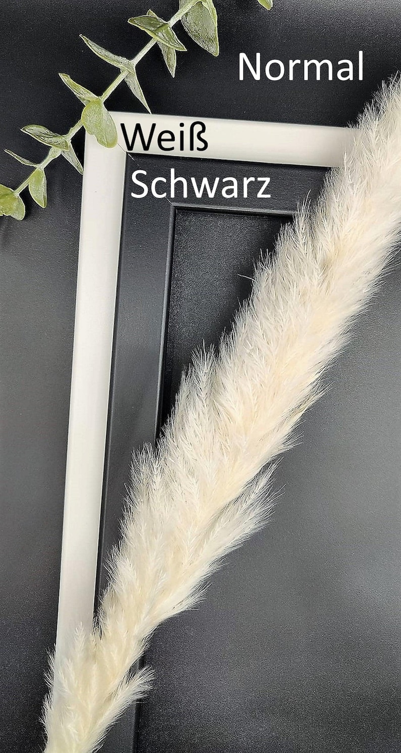 Personalisiertes Hochzeitsgeschenk im hochwertigen DIN A4 Bilderrahmen mit Plexiglas – kreatives Geldgeschenk zur Hochzeit mit Namen des Brautpaares, Hochzeitsdatum und Wunschtext. Perfekt als Erinnerungsgeschenk oder Dekoration für die Hochzeitsfeier. Individuell gestalteter Bilderrahmen als kreative Geschenkidee zur Hochzeit. Ideal für Brautpaar, Freunde oder Familie. DIY Geldgeschenk Hochzeit – personalisiert, einzigartig und handgefertigt.