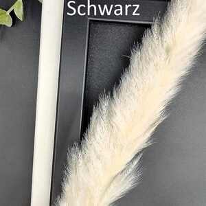 May include: A decorative arrangement featuring a white frame with the text "Wei&szlig; Schwarz" and a black interior. A fluffy, cream-colored ornamental grass and green leaves are in the frame, set against a dark background.