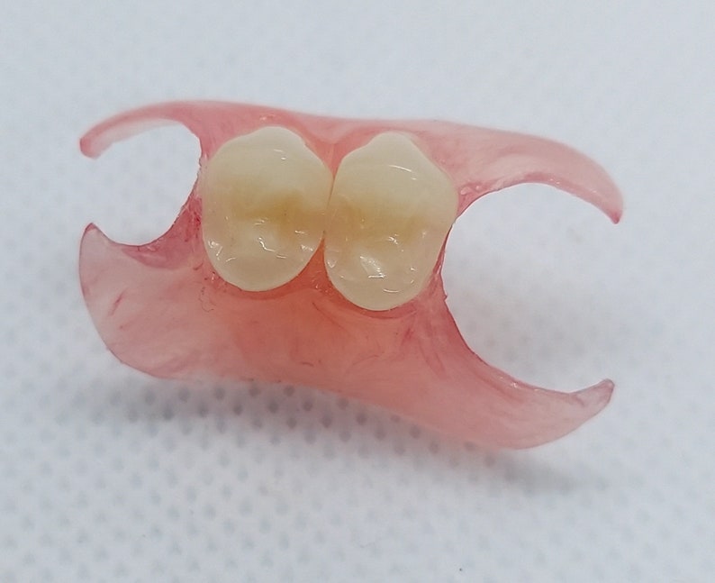 Nesbit Flexible Partial Denture Etsy