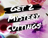 Mystery Cutting Box