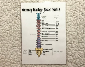 Puntos de retroceso del canal UB