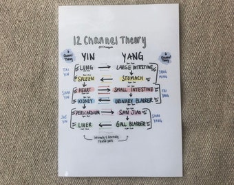Diagrama de flujo de teoría de 12 canales (laminado)