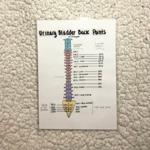 UB Channel Back Points