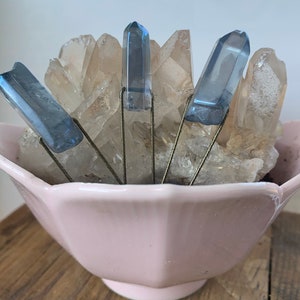 Gemstone PLANT PROPAGATION PINS image 7