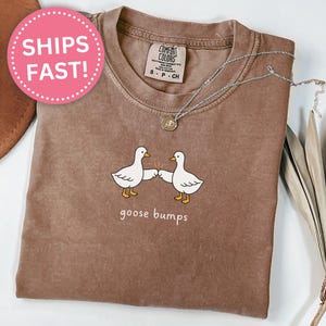 May include: Espresso-colored t-shirt with a crew neck and short sleeves. The shirt features a graphic of two white cartoon geese bumping beaks, with the words "goose bumps" below. A silver necklace with a pendant is on the shirt.